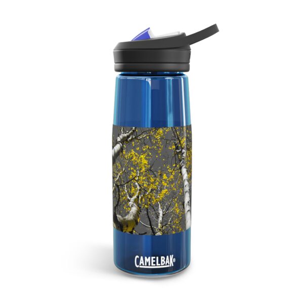 CamelBak Eddy®  Water Bottle, 20oz or 25oz | Featuring GOLDEN STARS OF AUTUMN | Exclusive Photography by Fevold Photography - Image 13