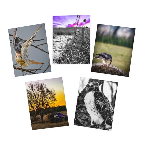 Multi-Design NEBRASKA Greeting Cards (5-Pack) Featuring | Exclusive Photography by Fevold Photography