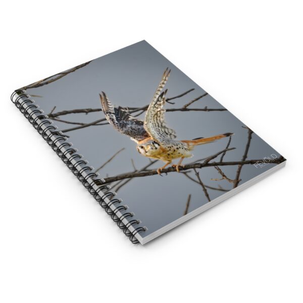 Spiral Notebook - Ruled Line Featuring AMERICAN KESTREL Exclusive Photography by Fevold Photography - Image 3