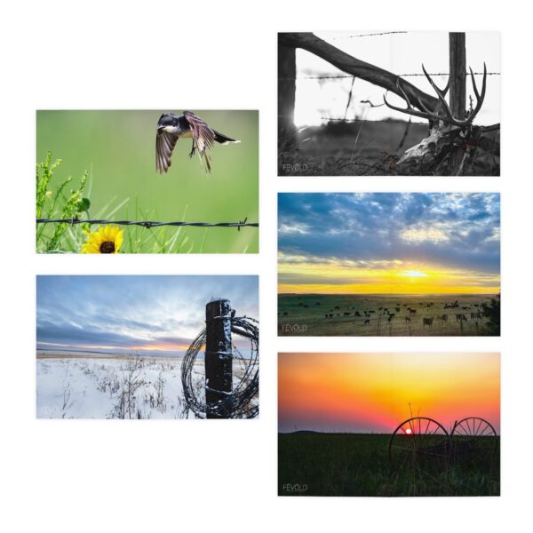 Multi-Design NEBRASKA Greeting Cards (5-Pack) Featuring | Exclusive Photography by Fevold Photography - Image 2