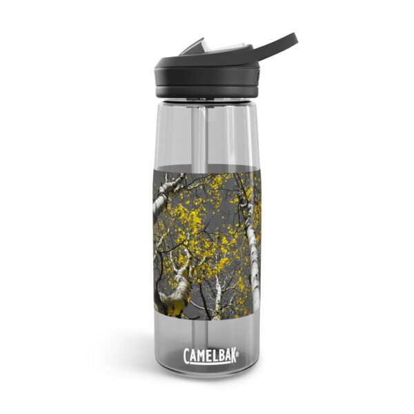 CamelBak Eddy®  Water Bottle, 20oz or 25oz | Featuring GOLDEN STARS OF AUTUMN | Exclusive Photography by Fevold Photography - Image 18