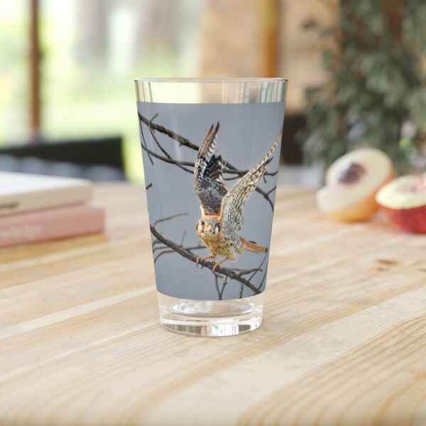 Pint Glass (16oz), Featuring AMERICAN KESTREL | Exclusive photography by Fevold Photography