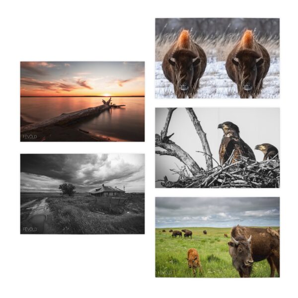 Multi-Design NORTH DAKOTA Greeting Cards (5-Pack) Featuring | Exclusive Photography by Fevold Photography - Image 2