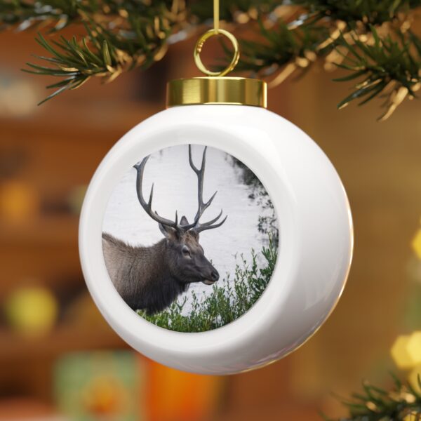 Christmas Ball Ornament featuring A LEISURELY STROLL, Exclusive Photo by Fevold Photography - Image 3